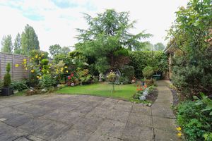 Photo 10- click for photo gallery